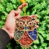 Owl Money Magnet Hanger Crystal Product