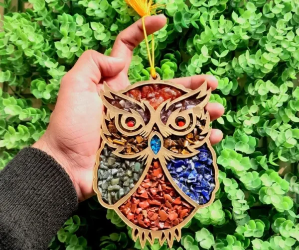 Owl Money Magnet Hanger Crystal Product